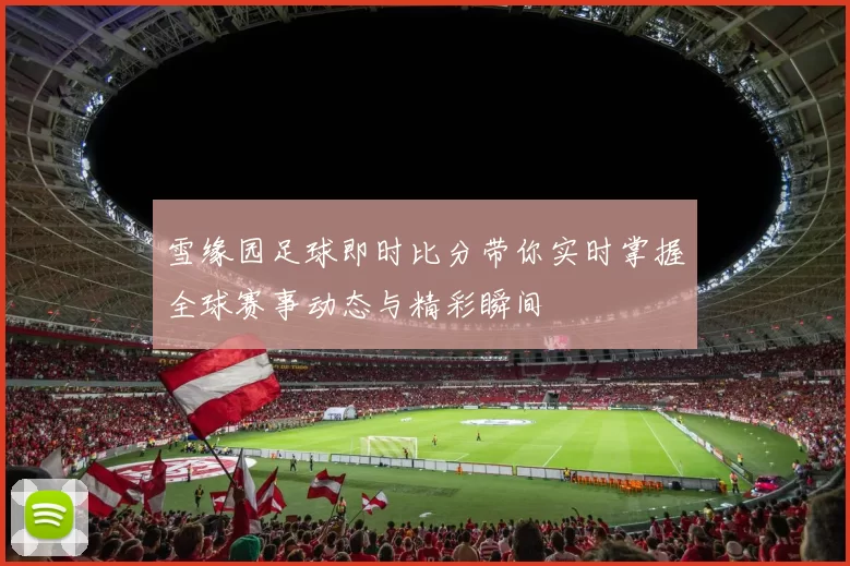 雪缘园足球即时比分带你实时掌握全球赛事动态与精彩瞬间