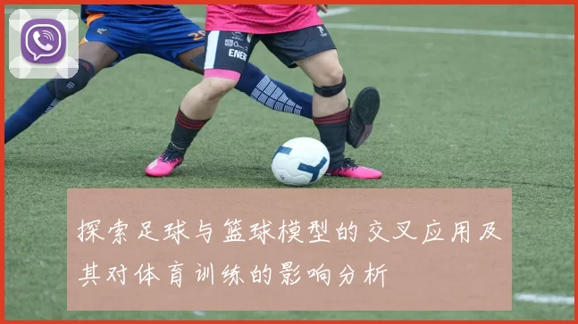 探索足球与篮球模型的交叉应用及其对体育训练的影响分析